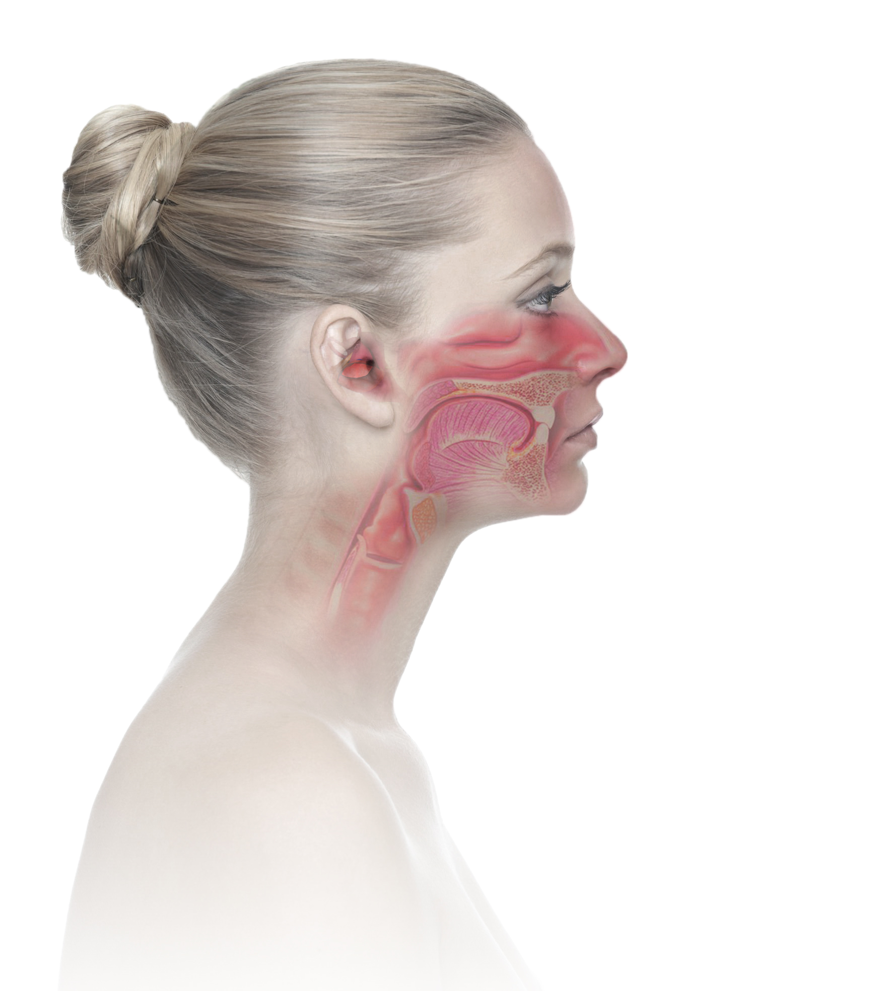 Tai – Mũi – Họng